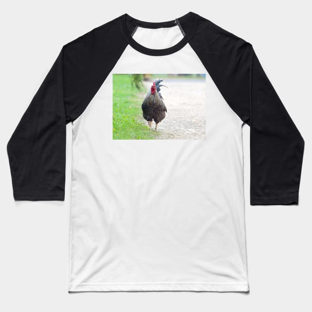 Plymouth rock rooster Baseball T-Shirt by Drgnfly4free